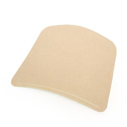 Healband Foam Dressing 10 x 10cm B10