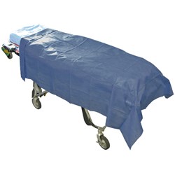 Stretcher/Modesty Light Sheet Large Disp 200 x120cm L/Blue P10