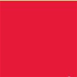 Silicone Turning Slide Sheet Single 1m x 1.5m Red