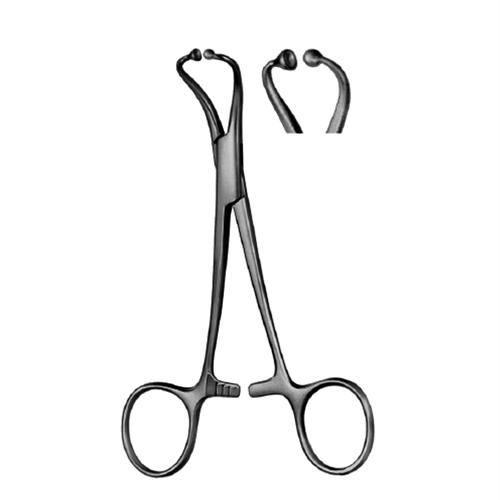 1186005_1