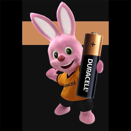 Battery Duracell Alkaline Size AA