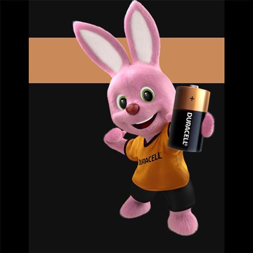 Battery Duracell Alkaline Size D